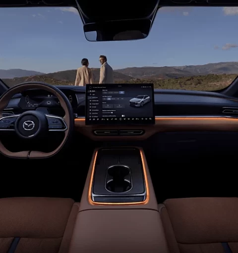 voiture 100% électrique